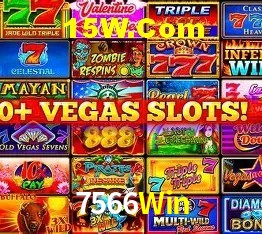 Bonus Features 7566Win